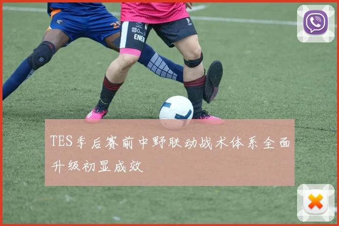 TES季后赛前中野联动战术体系全面升级初显成效